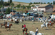 Galería de imágenes de Venialbo | Nuestras Fiestas