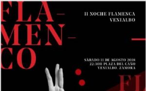 II NOCHE FLAMENCA VENIALBO 