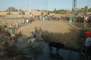 Fiestas en Honor de NTRA. SRA. DE LA ASUNCIÓN Y SAN ROQUE 2013 