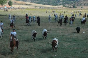 FIESTAS EN HONOR DE NTRA. SRA. DE LA ASUNCIÓN Y SAN ROQUE 2015