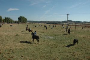 CONCENTRACIÓN Y TORNEO A CABALLO VILLA DE VENIALBO.