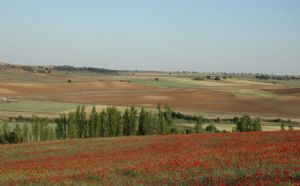 Vistas de Venialbo