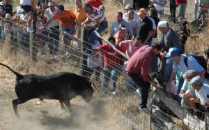 Encierro de Venialbo