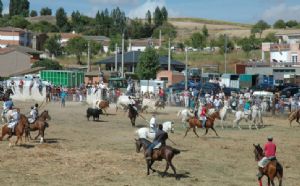 Encierro de Venialbo