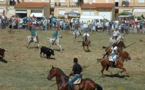 Encierro de Venialbo