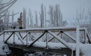 Venialbo Nevado