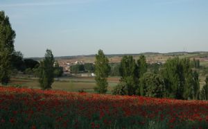 Vistas de Venialbo