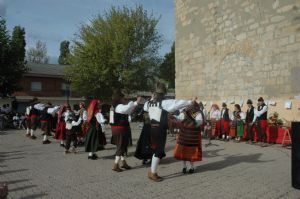 XII FIESTA DE LA VENDIMIA. VENIALBO 2014