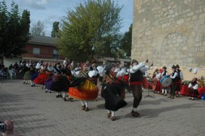 XII FIESTA DE LA VENDIMIA. VENIALBO 2014