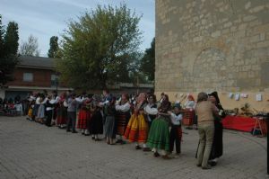 XII FIESTA DE LA VENDIMIA. VENIALBO 2014