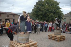 XII FIESTA DE LA VENDIMIA. VENIALBO 2014