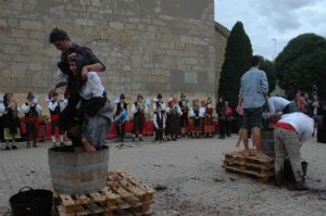 XII FIESTA DE LA VENDIMIA. VENIALBO 2014