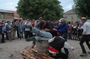 XII FIESTA DE LA VENDIMIA. VENIALBO 2014