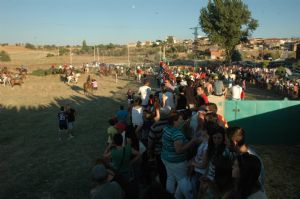 FIESTAS PATRONALES VENIALBO 2013