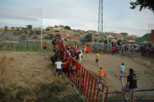 FIESTAS PATRONALES VENIALBO 2013