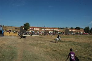 FIESTAS PATRONALES VENIALBO 2013