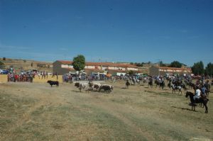 FIESTAS PATRONALES VENIALBO 2013