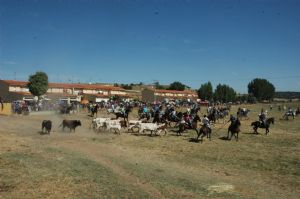 FIESTAS PATRONALES VENIALBO 2013