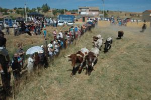 FIESTAS PATRONALES VENIALBO 2013