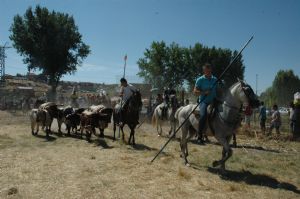 FIESTAS PATRONALES VENIALBO 2013