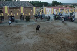 FIESTAS EN HONOR DE  NTRA. SEÑORA DE LA ASUNCIÓN Y SAN ROQUE 2016.