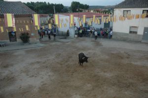 FIESTAS EN HONOR DE  NTRA. SEÑORA DE LA ASUNCIÓN Y SAN ROQUE 2016.