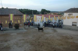 FIESTAS EN HONOR DE  NTRA. SEÑORA DE LA ASUNCIÓN Y SAN ROQUE 2016.