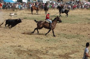 FIESTAS EN HONOR DE  NTRA. SEÑORA DE LA ASUNCIÓN Y SAN ROQUE 2016.