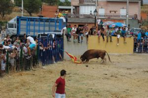 FIESTAS EN HONOR DE  NTRA. SEÑORA DE LA ASUNCIÓN Y SAN ROQUE 2016.