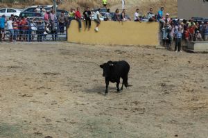 FIESTAS EN HONOR DE  NTRA. SEÑORA DE LA ASUNCIÓN Y SAN ROQUE 2016.