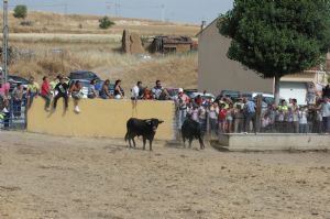 FIESTAS EN HONOR DE  NTRA. SEÑORA DE LA ASUNCIÓN Y SAN ROQUE 2016.