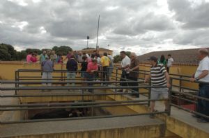 Presentación de los Toros San Roque 2013
