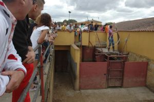 Presentación de los Toros San Roque 2013