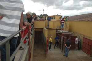 Presentación de los Toros San Roque 2013