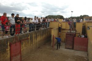 Presentación de los Toros San Roque 2013