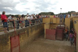 Presentación de los Toros San Roque 2013