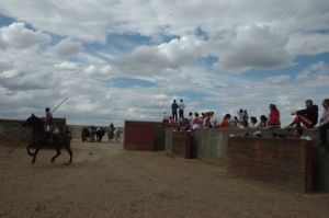 Presentación de los Toros San Roque 2013
