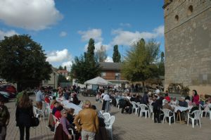 FIESTA DE LA VENDIMIA VENIALBO 2013. 