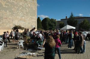 FIESTA DE LA VENDIMIA VENIALBO 2013. 