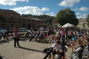 FIESTA DE LA VENDIMIA VENIALBO 2013. 