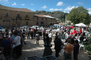 FIESTA DE LA VENDIMIA VENIALBO 2013. 