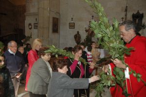 PROCESION DOMINGO DE RAMOS 2014