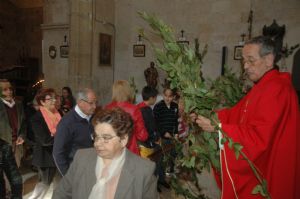 PROCESION DOMINGO DE RAMOS 2014