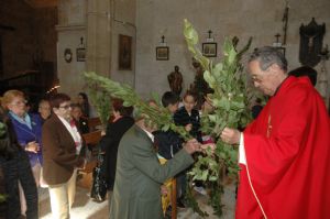 PROCESION DOMINGO DE RAMOS 2014