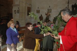 PROCESION DOMINGO DE RAMOS 2014