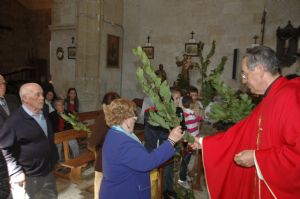 PROCESION DOMINGO DE RAMOS 2014