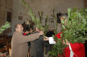 PROCESION DOMINGO DE RAMOS 2014