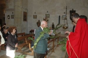 PROCESION DOMINGO DE RAMOS 2014