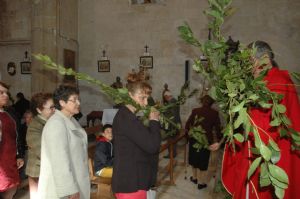 PROCESION DOMINGO DE RAMOS 2014