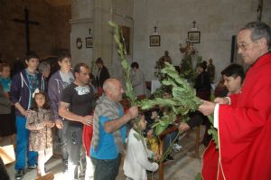 PROCESION DOMINGO DE RAMOS 2014